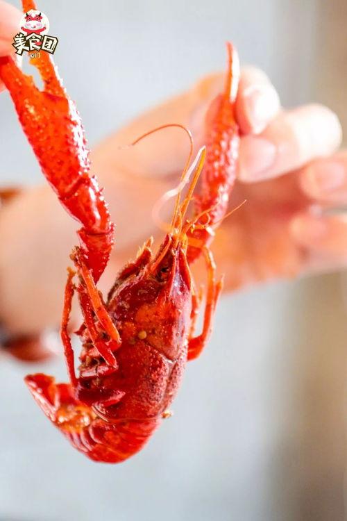 厦门龙虾爆料视频最新,现场实况直击，揭秘海鲜市场新动态  第3张